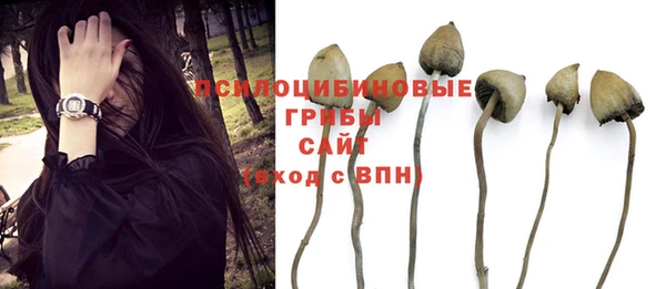 тгк Магадан