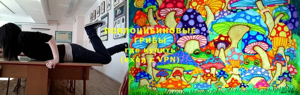 тгк Магадан