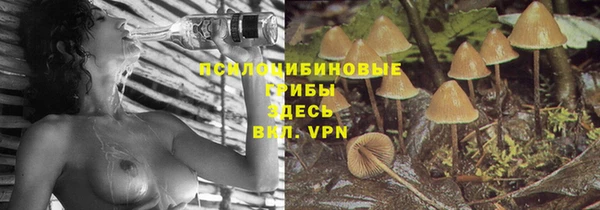 скорость Магас