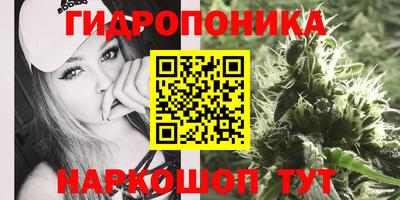 ГАЛЛЮЦИНОГЕННЫЕ ГРИБЫ Волжск