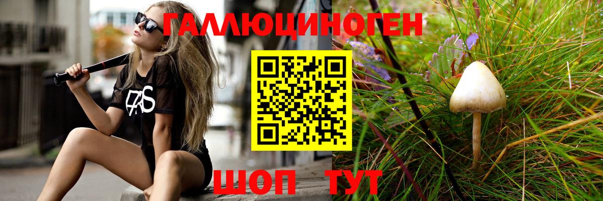 Псилоцибиновые грибы мухоморы  Геленджик 