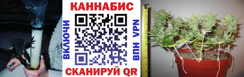Бошки Шишки конопля  блэк спрут ТОР  Геленджик 